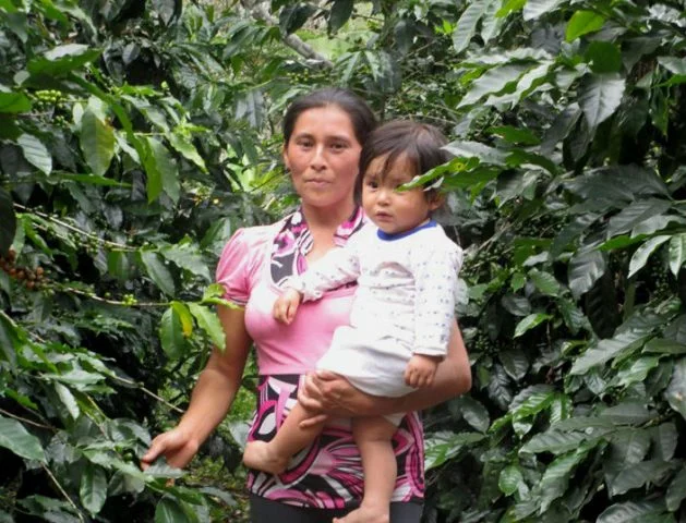 peruftocafedemujeraproccurma5-629x480.jpg