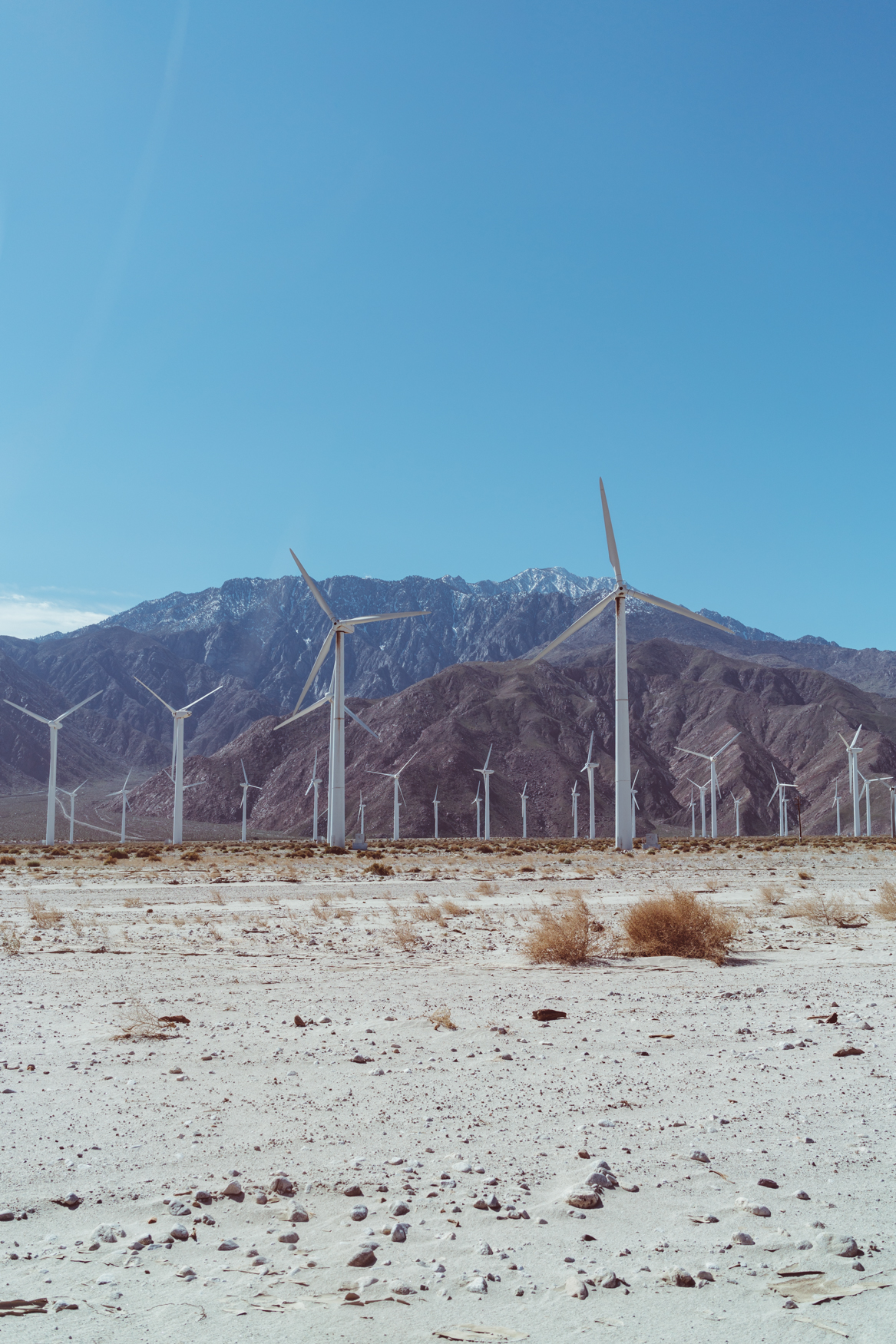 Palm Springs Windmills