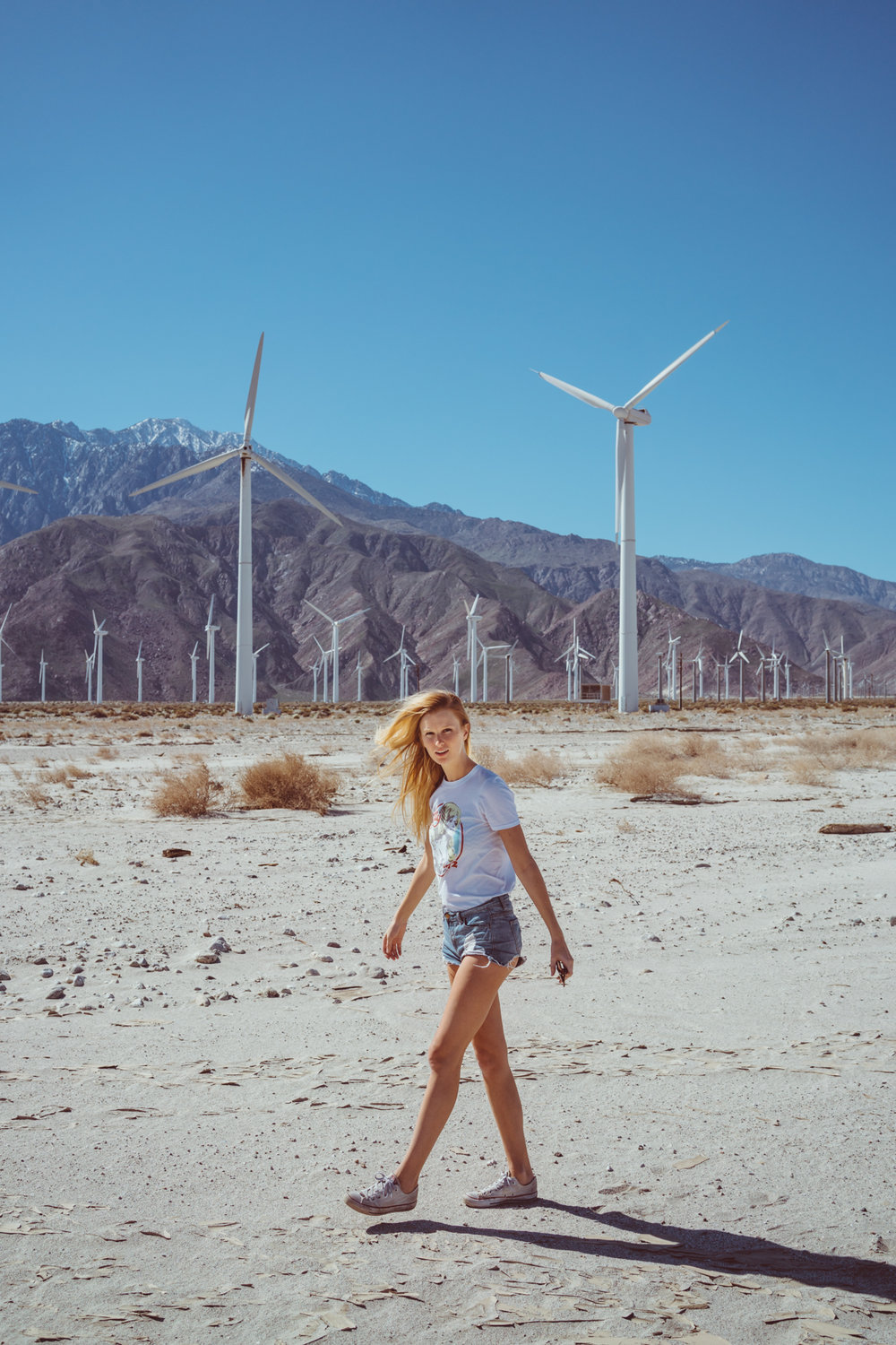 Palm Springs Windmills