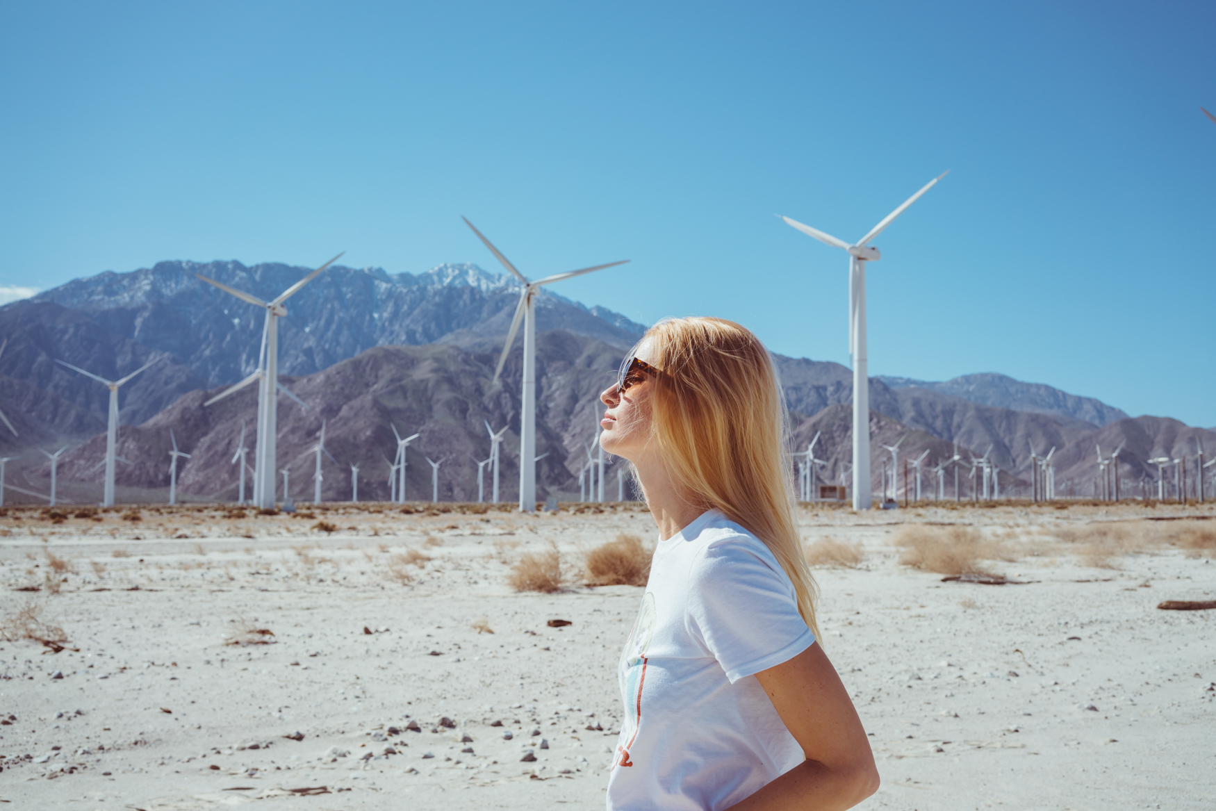 Palm Springs Windmills