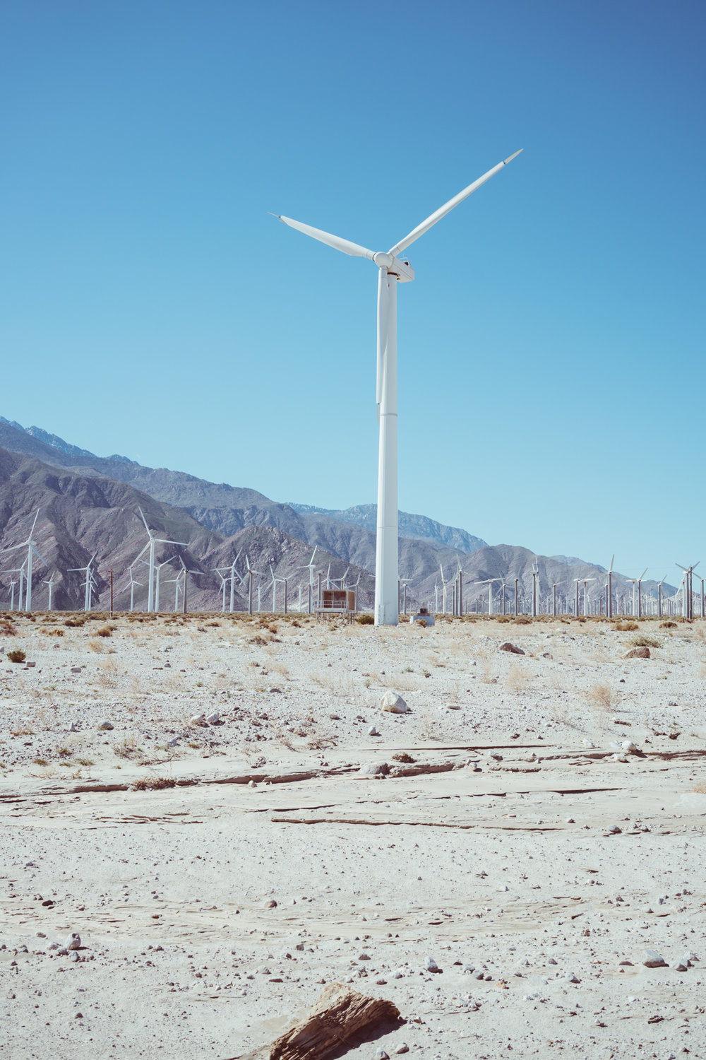 Palm Springs Windmills