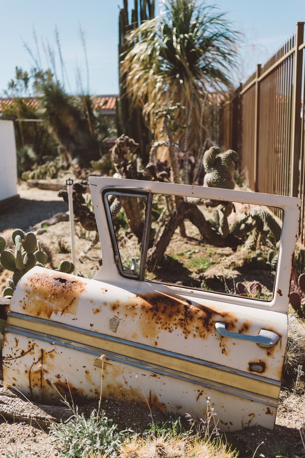 Cactus Mart Joshua Tree