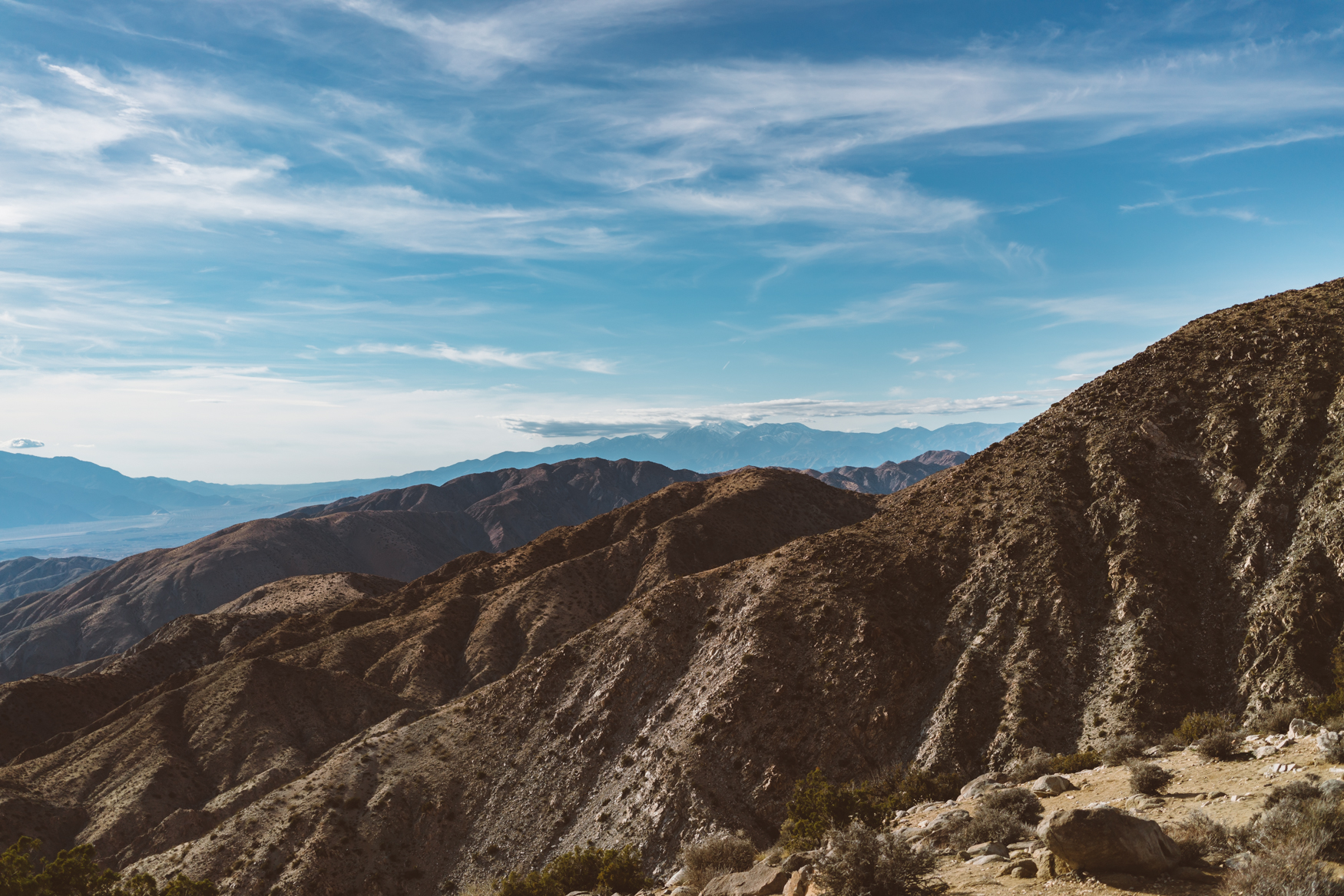 Keys View Joshua Tree