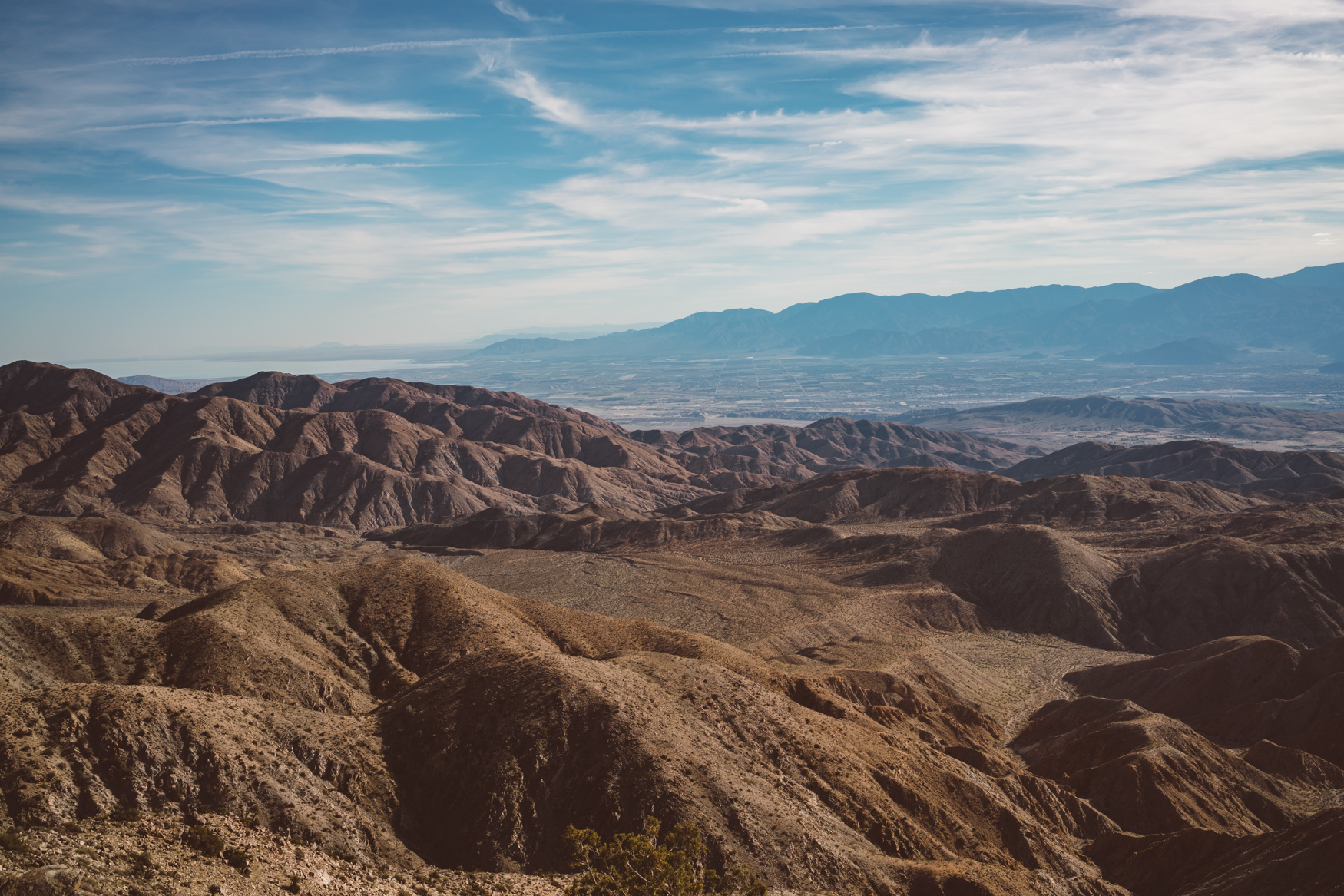 Keys View Joshua Tree