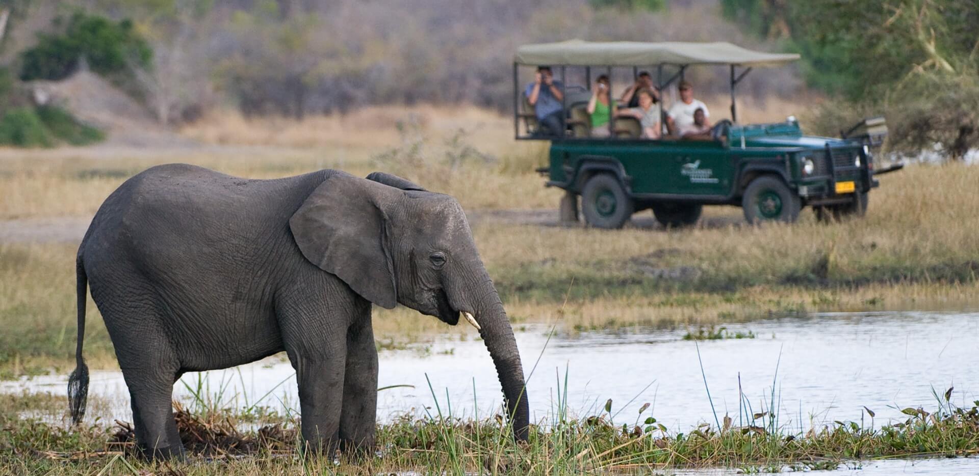 Photo: African Parks.