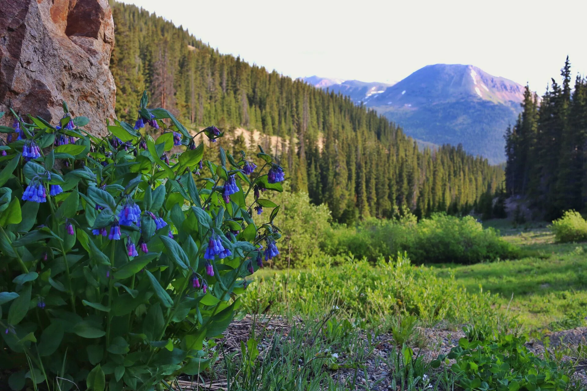 Loveland Pass, Colorado