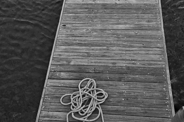 Out on the docks today thinking about all the places I would go if @michelobultra chose me to be their #puregoldceo - I can only HOPE they visit www.puregoldceo.com and check out my work. 
*
*
*
*
#promo #landscape #landscapes #dock #docks #water #fi