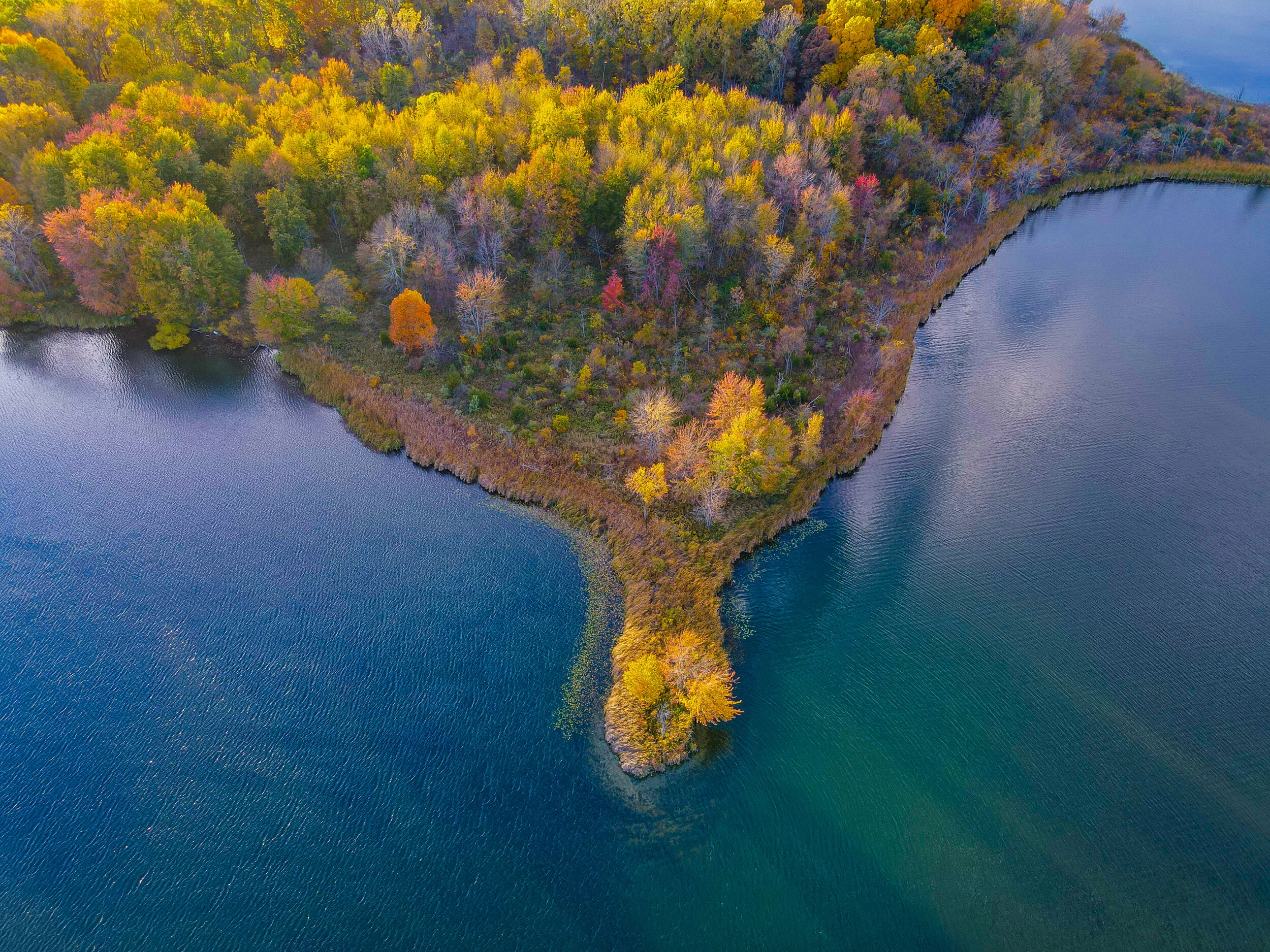 Michigan Coast Line