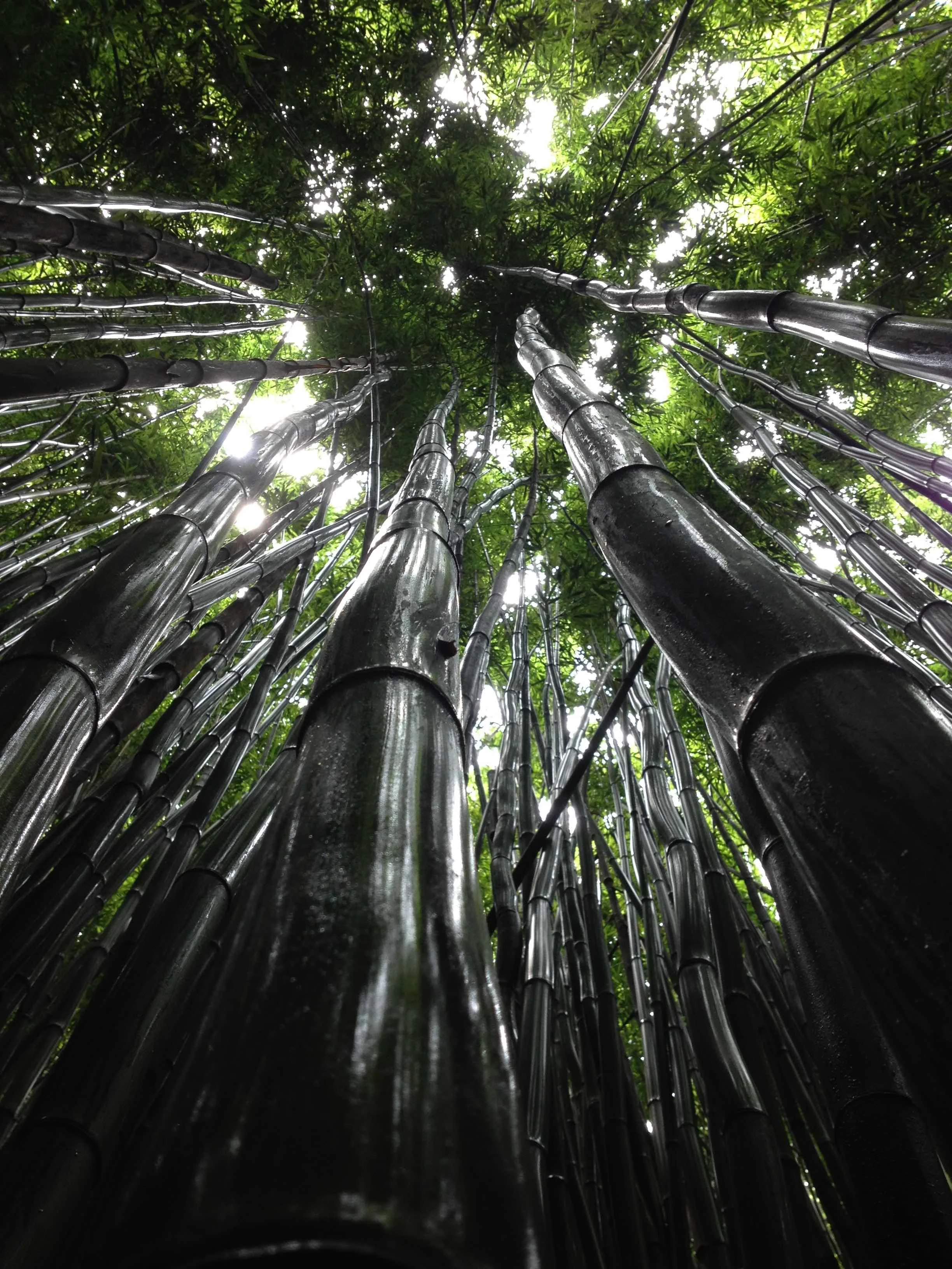 Photo by Kaitlyn Jameson on Unsplash