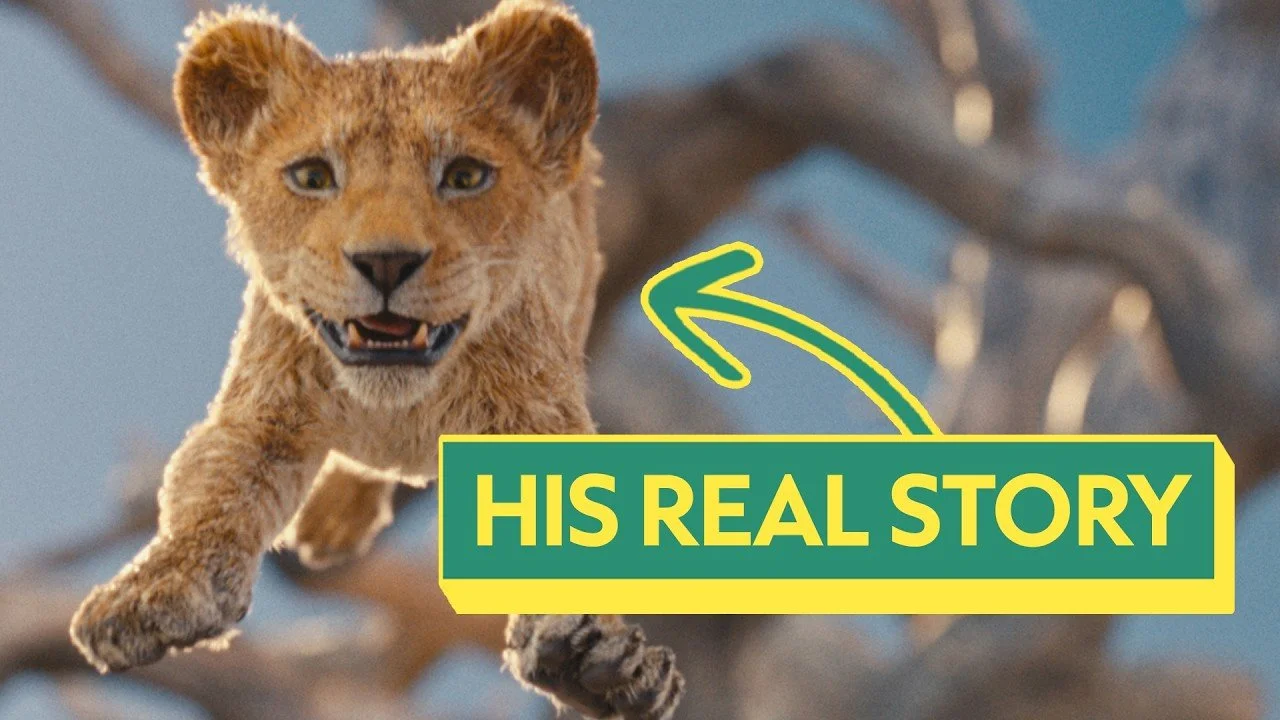 The Real Mufasa: Busting myths about male lions