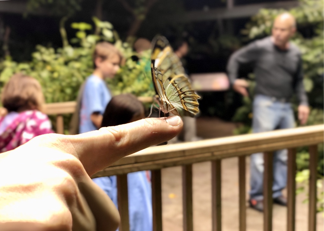 Tennessee Aquarium (Overnight) 2018