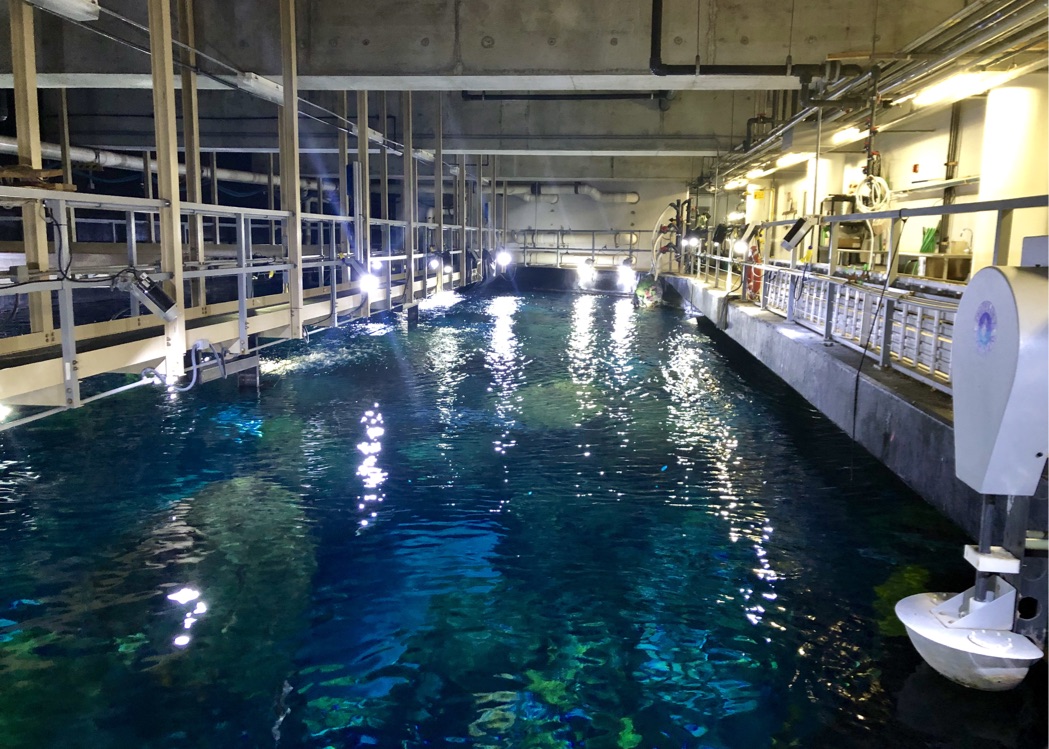 Tennessee Aquarium (Overnight) 2018