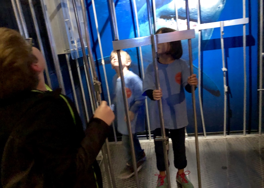 Tennessee Aquarium (Overnight) 2018
