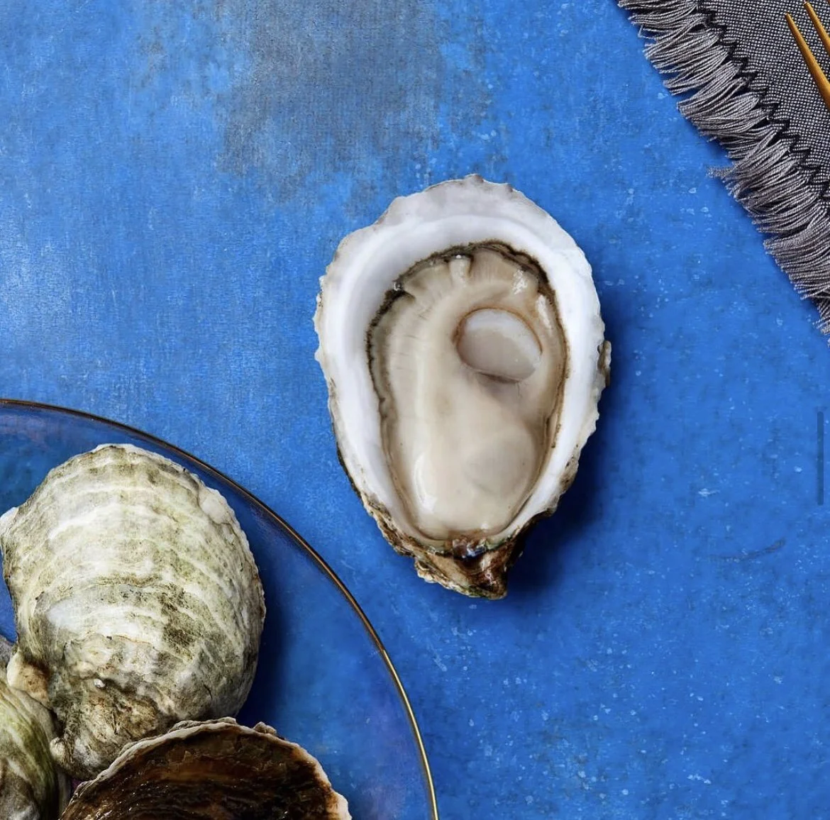 Taylor Shellfish Farms