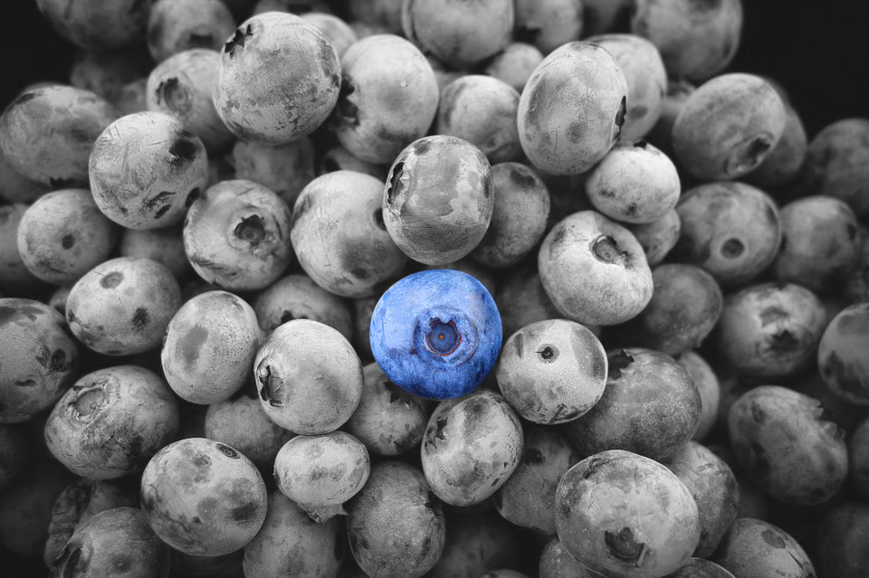 blueberries.jpg