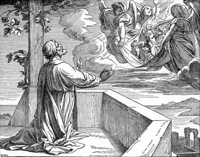 "Peter's vision of the sheet with animals". Illustration from Treasures of the Bible by H. D. Northrop, 1894.