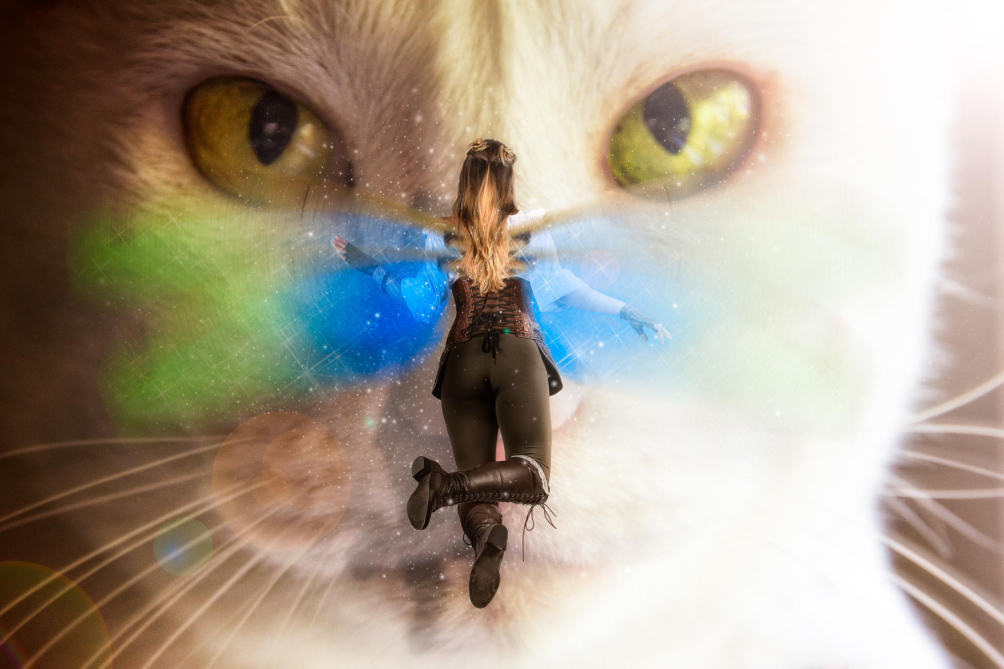 Here Kitty
