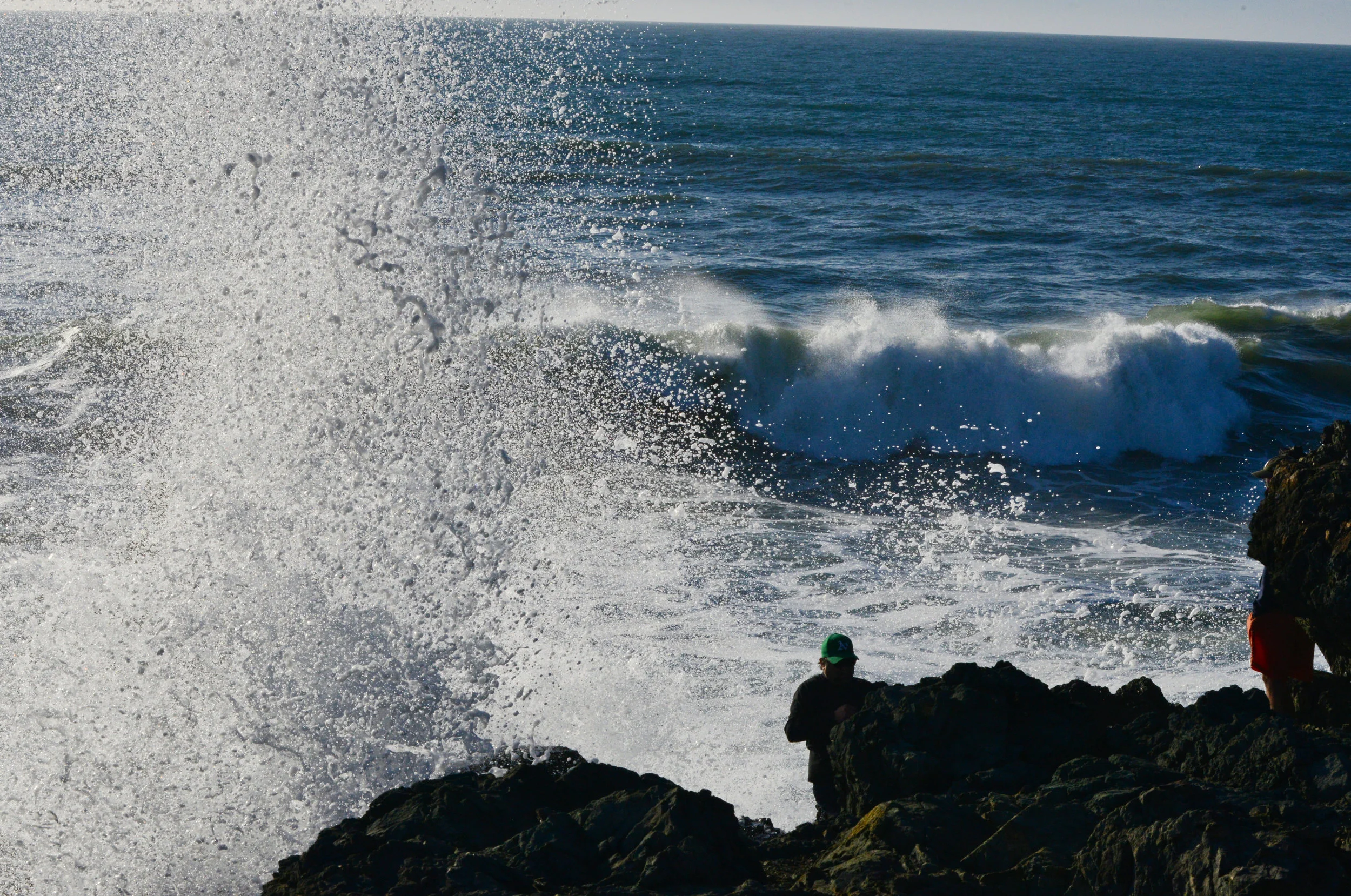 Natural Selection II