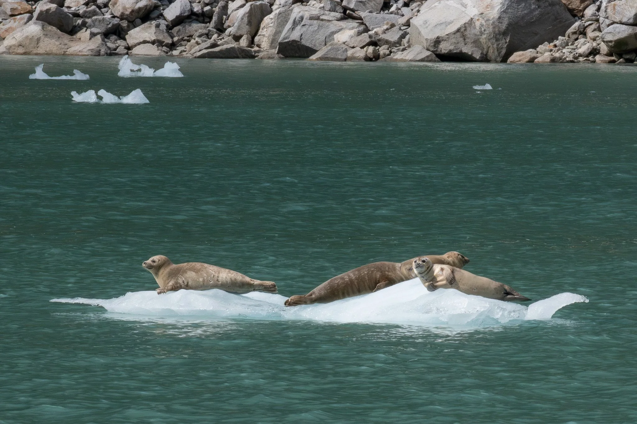 DSC_2267.jpg