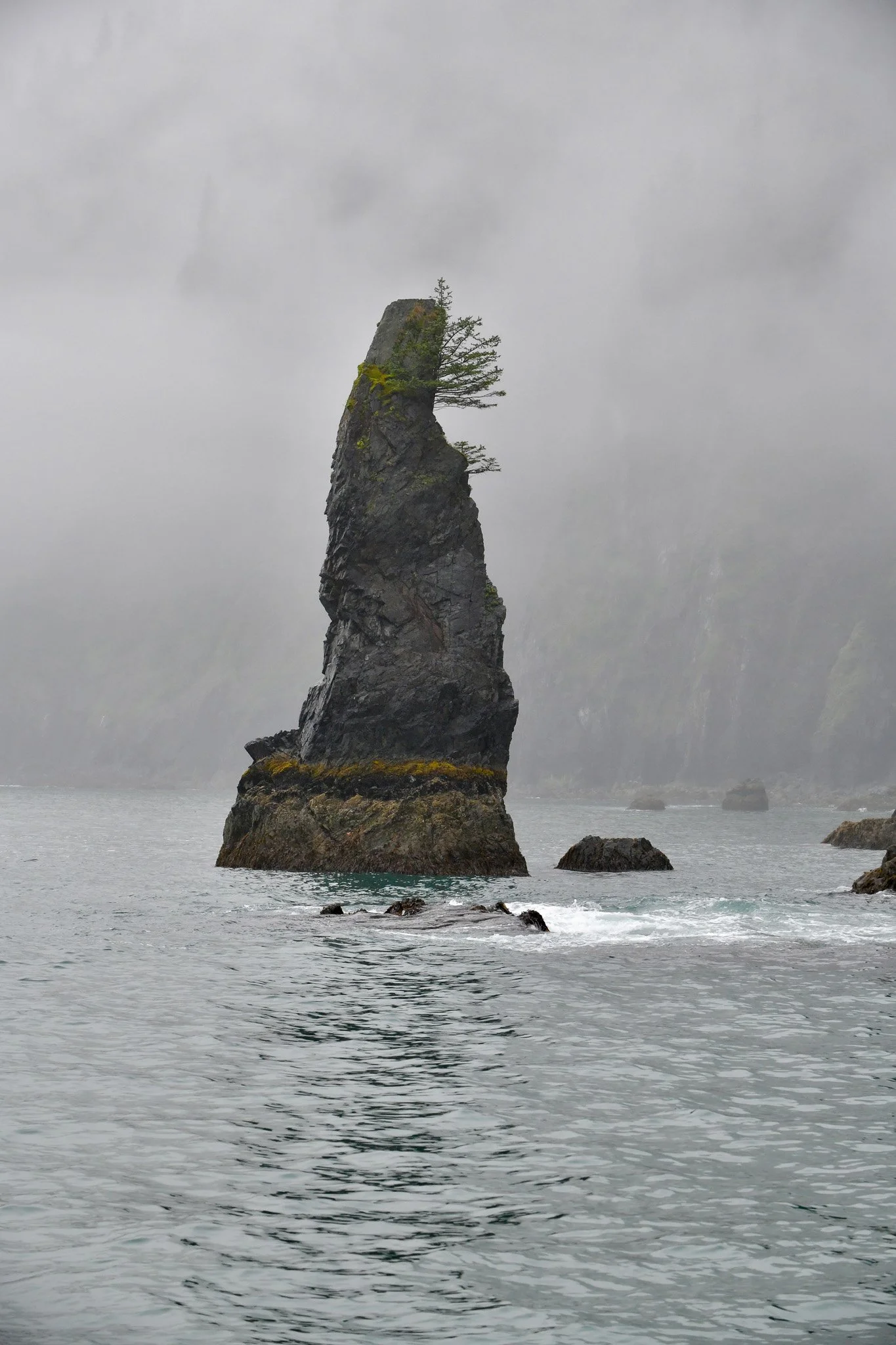 DSC_2121.jpg