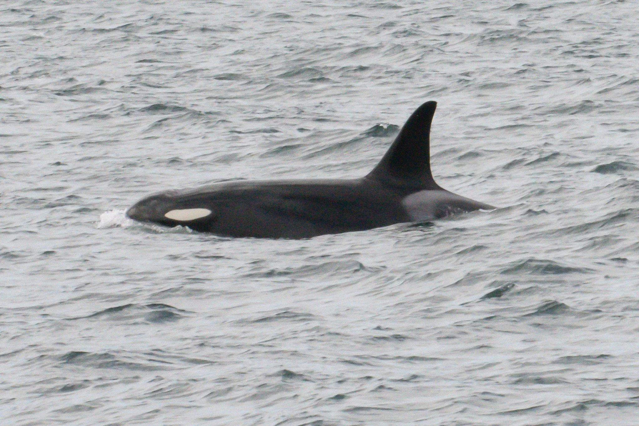 DSC_2395.jpg