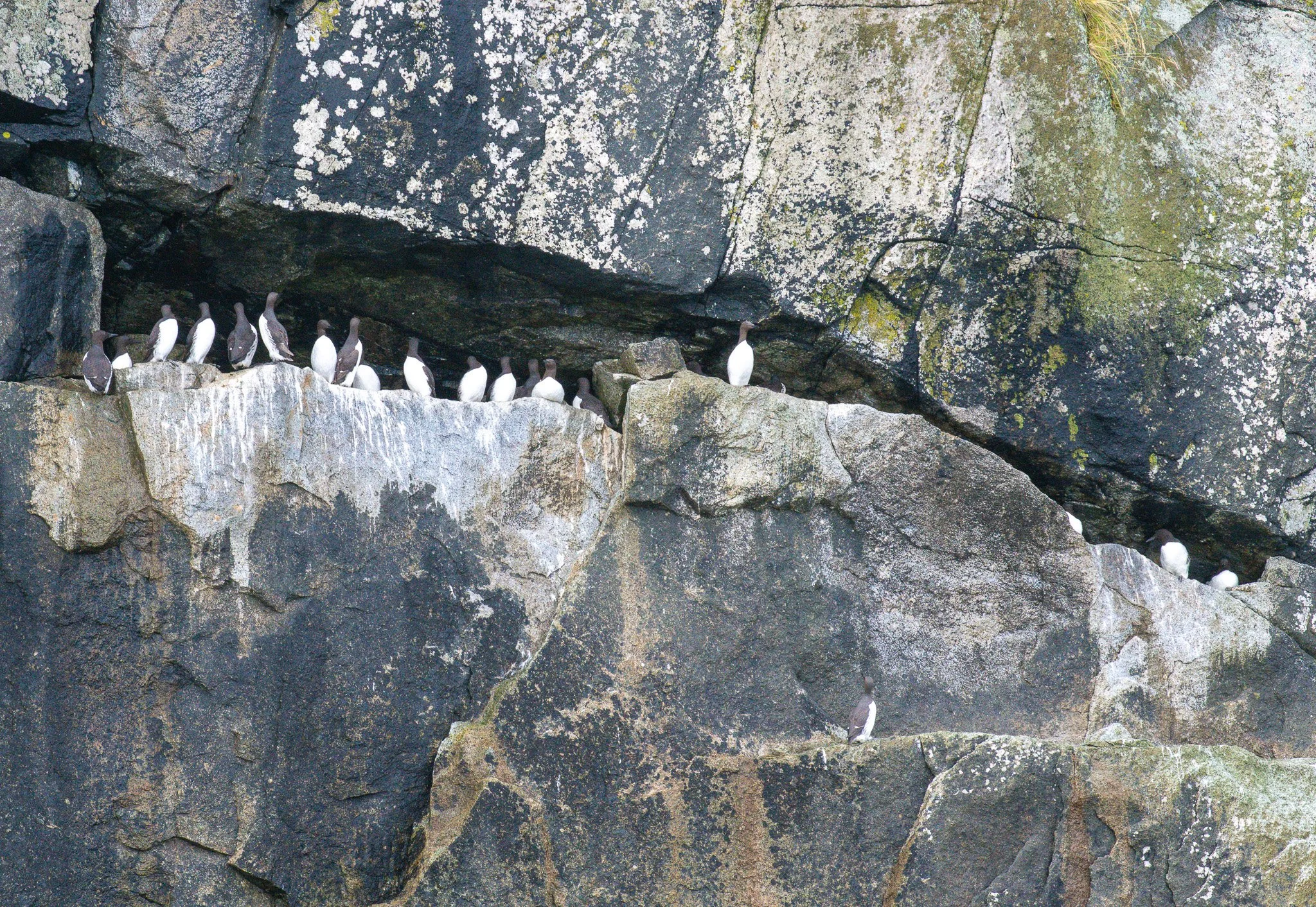 DSC_2135-2.jpg