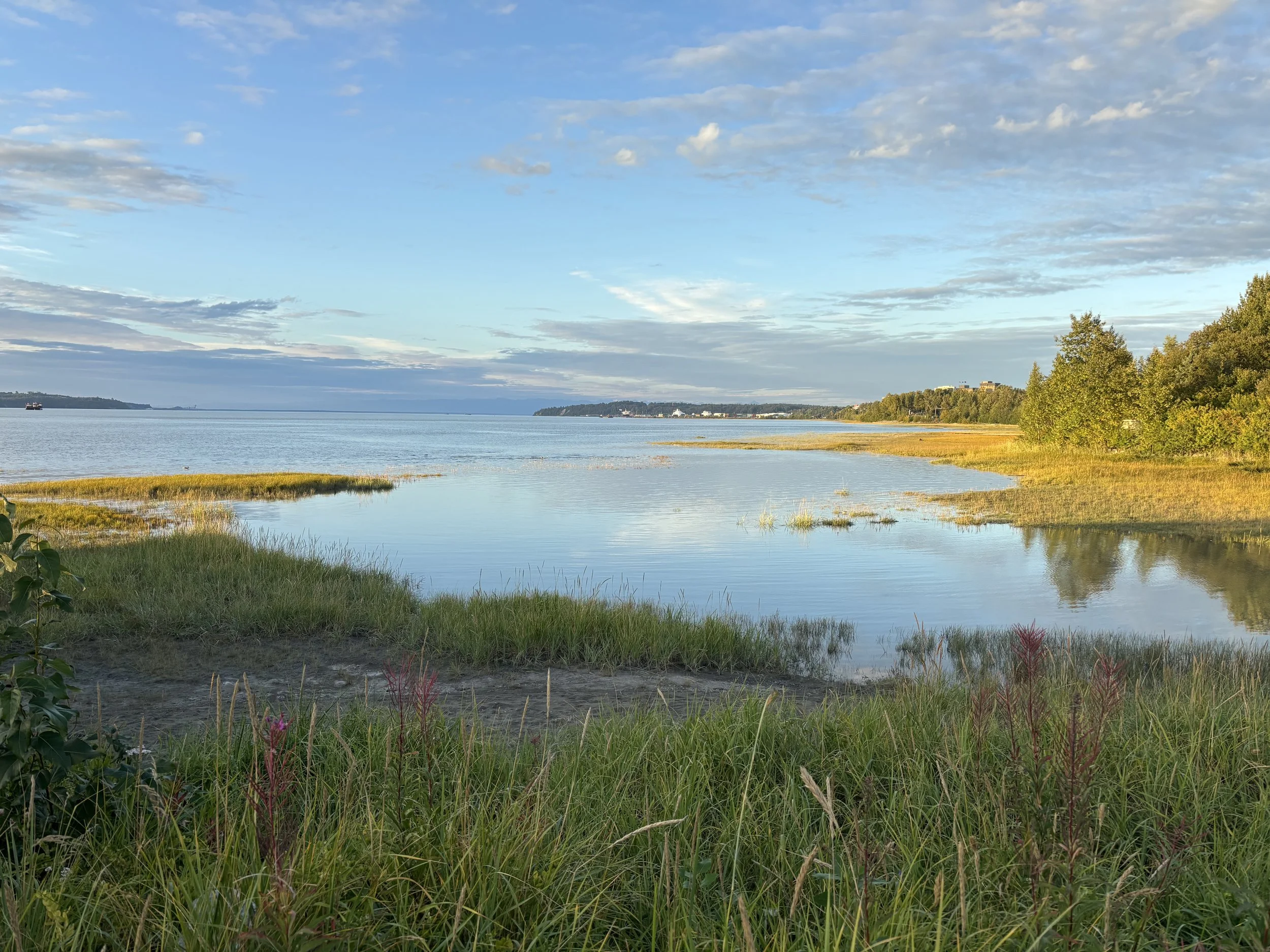 Fish Creek Estuary