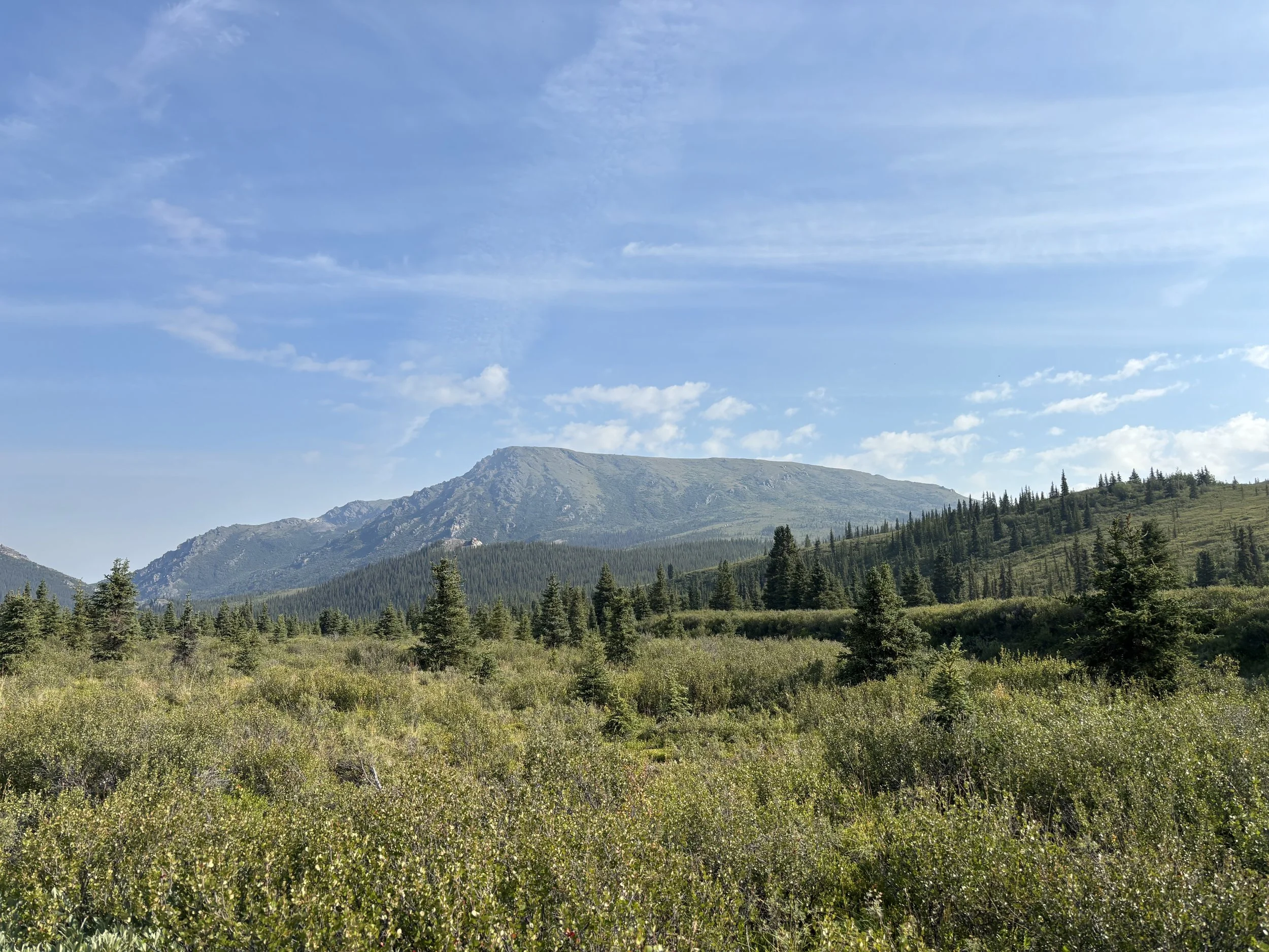 IMG_3230.jpeg