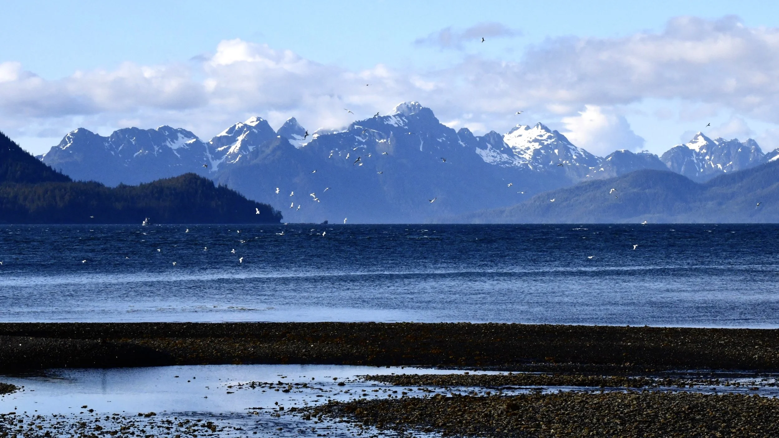 DSC_3190.JPG