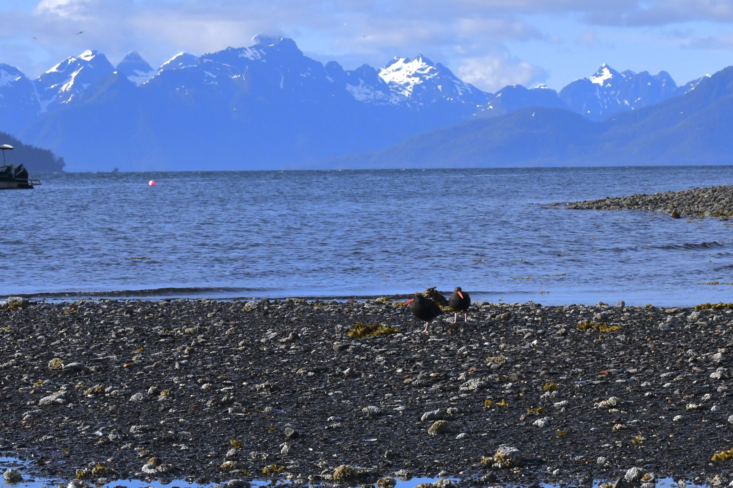 DSC_3224.JPG