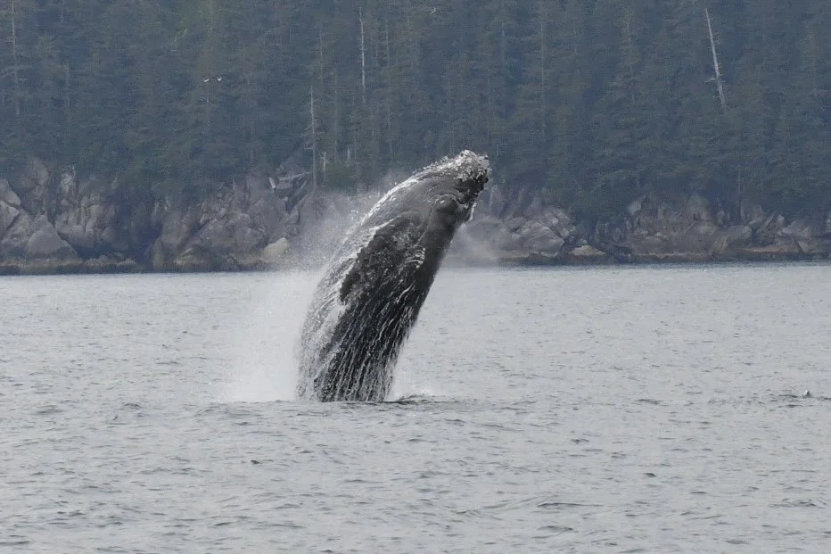 DSC_3323.JPG