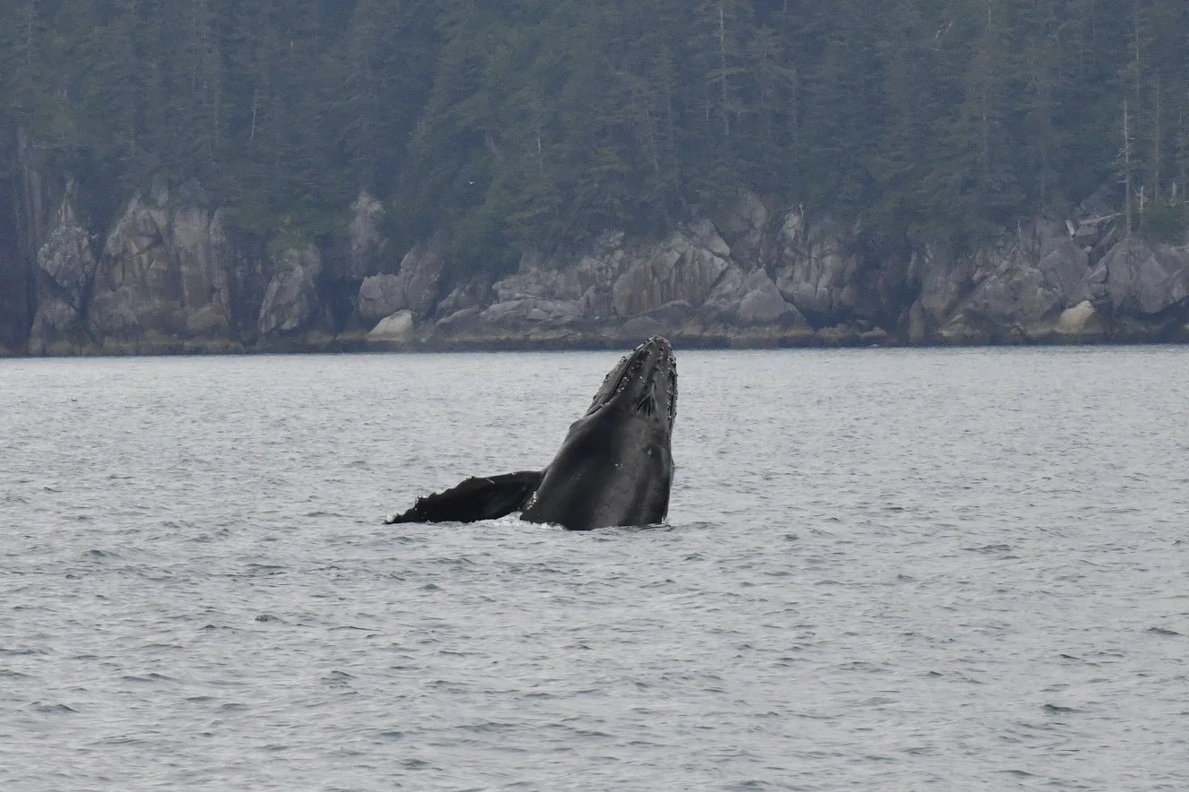 DSC_3316.JPG