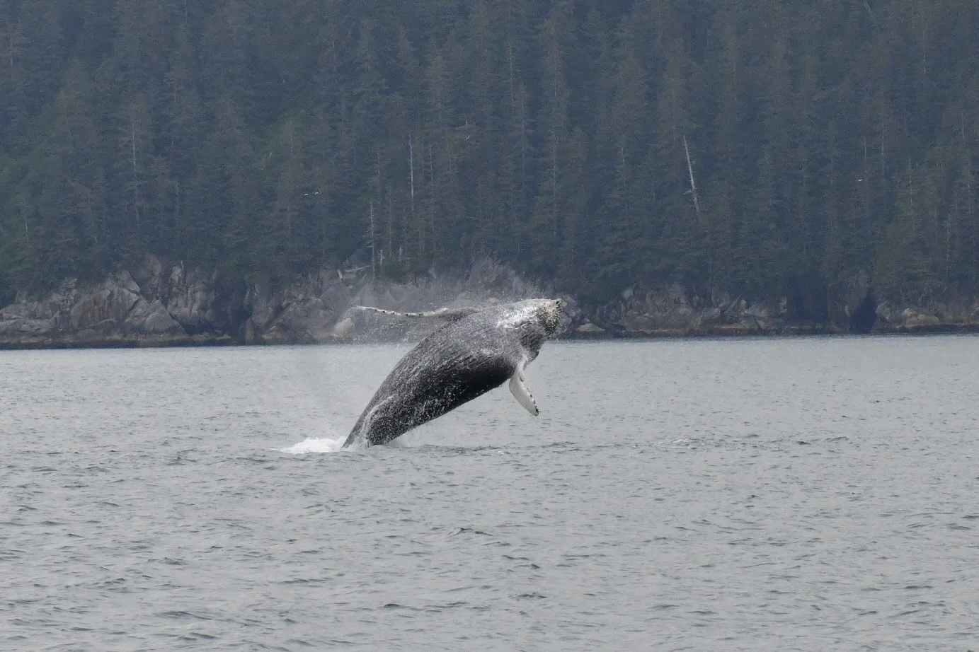 DSC_3325.JPG