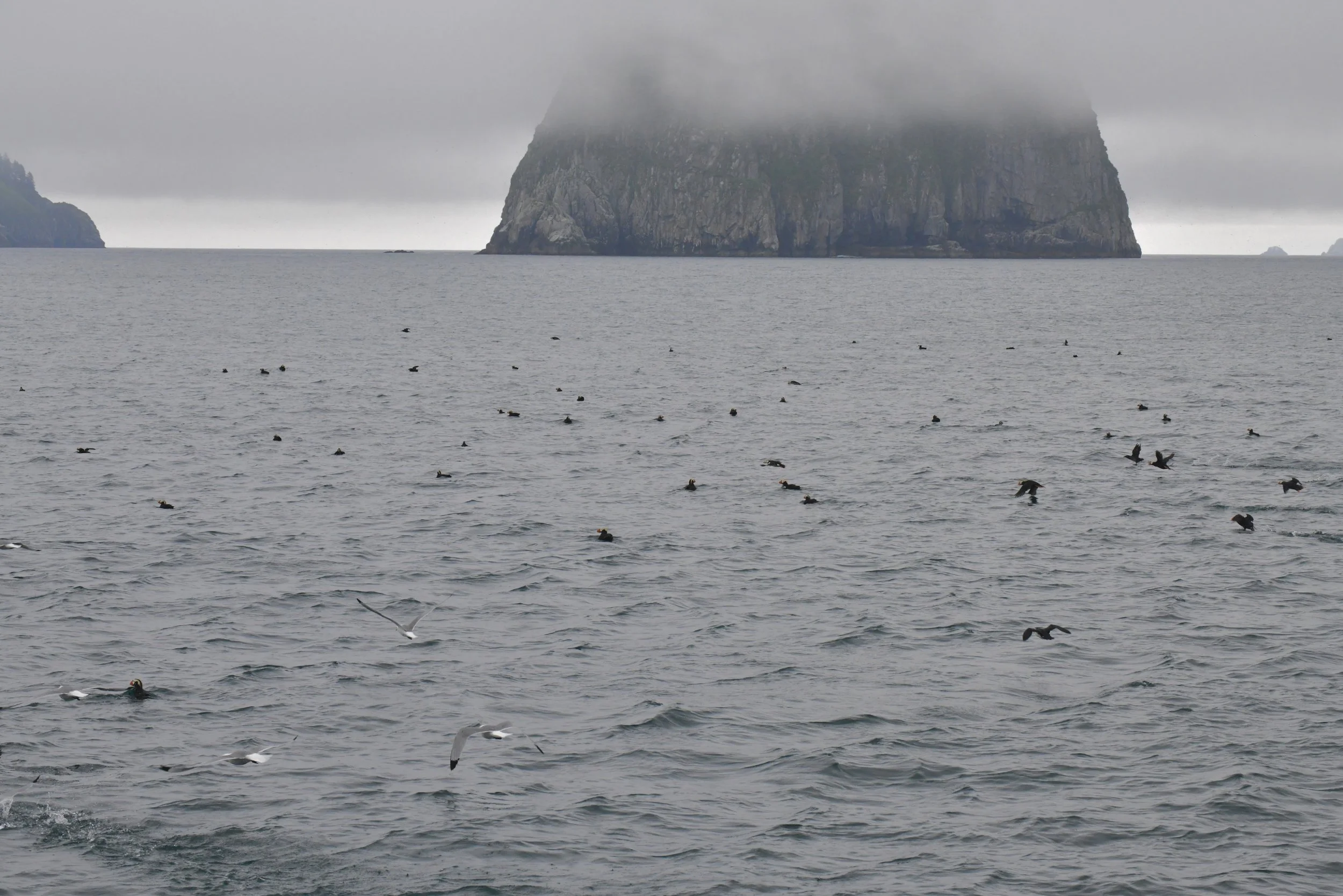 DSC_3416.JPG