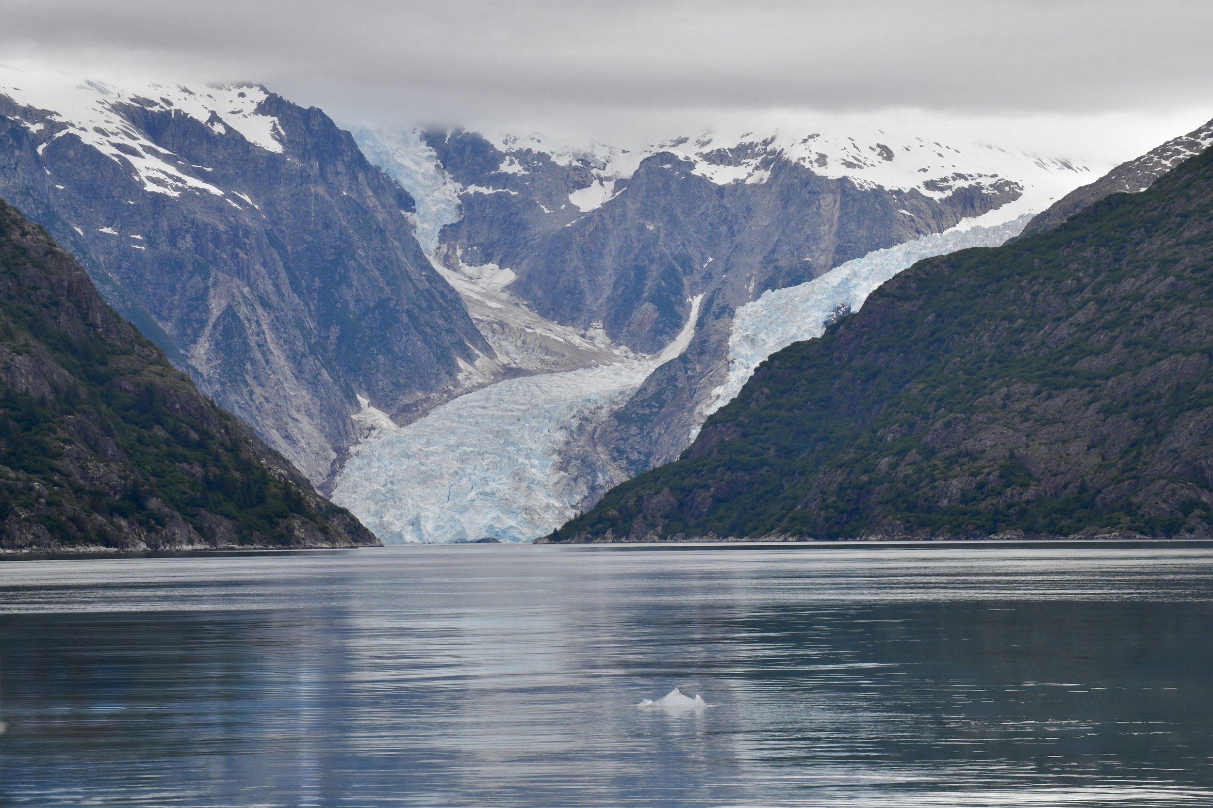 DSC_3446.JPG