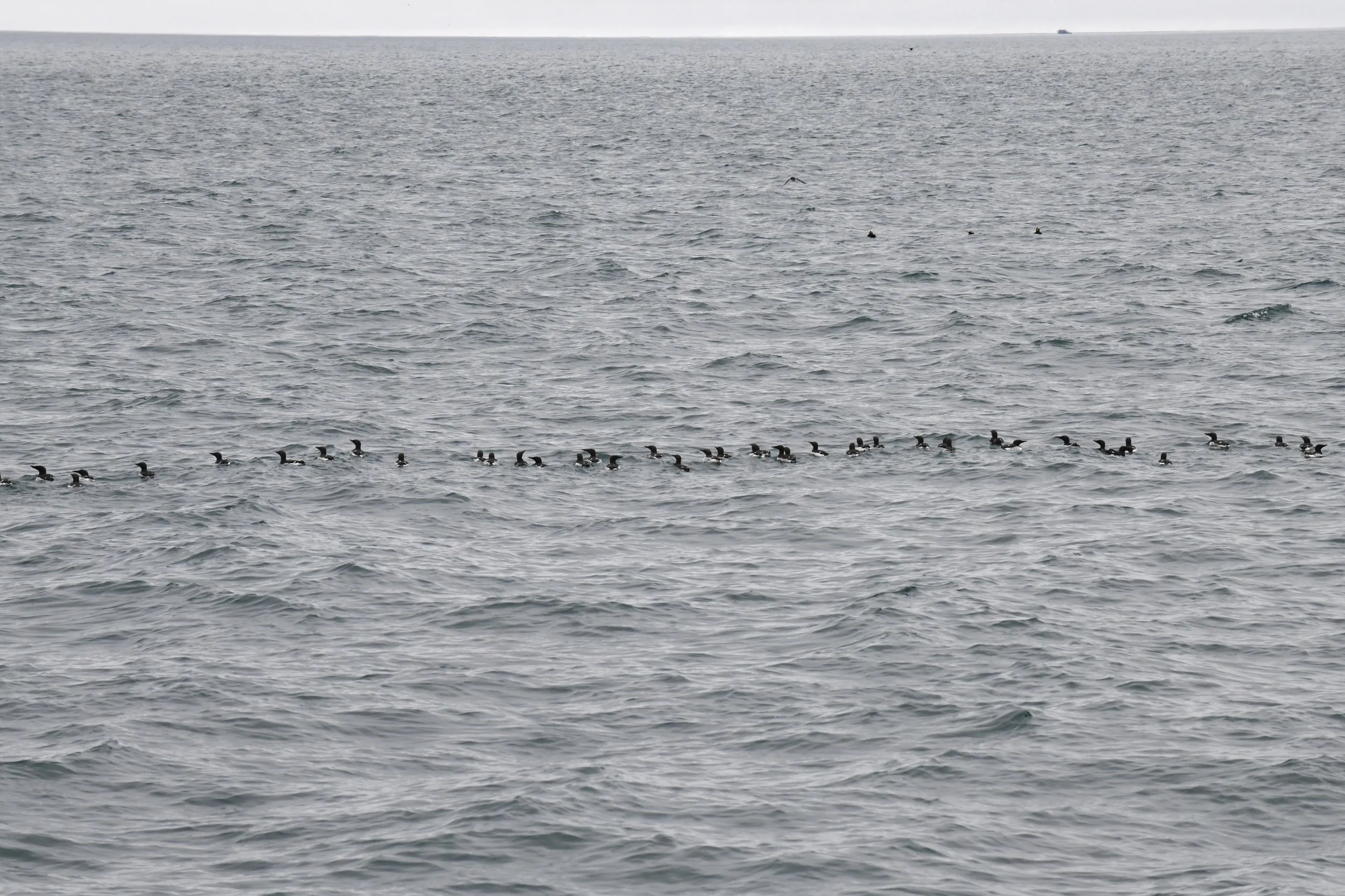 DSC_3395.JPG