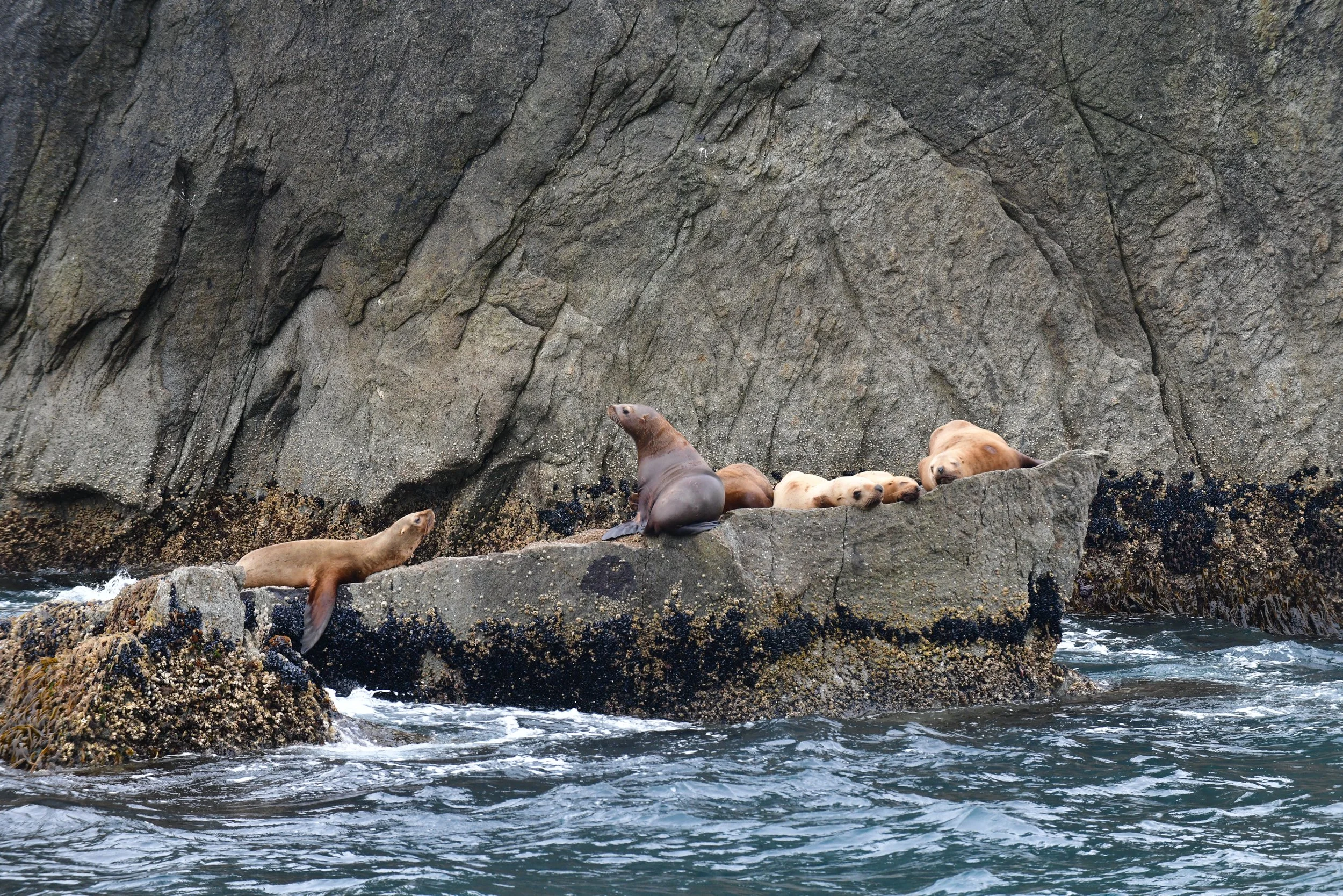 DSC_3398.JPG