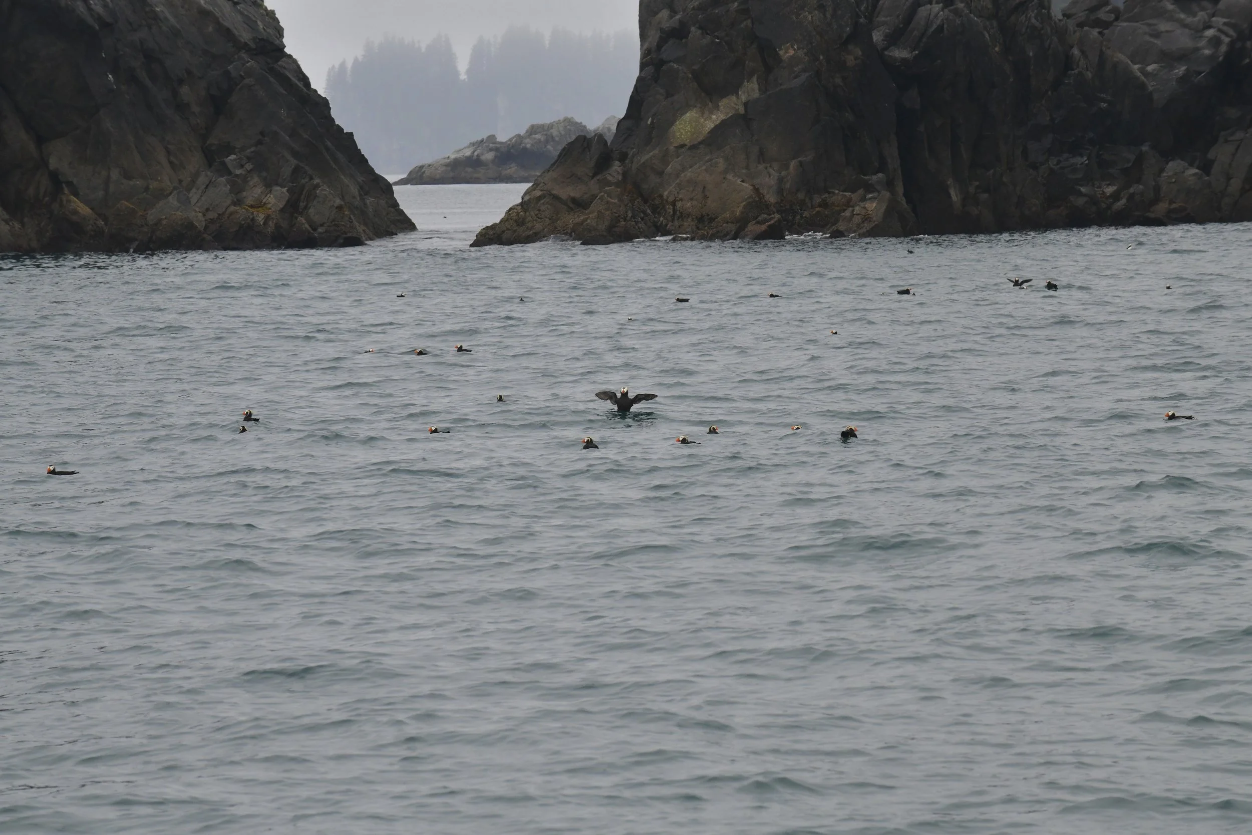 DSC_3544.JPG