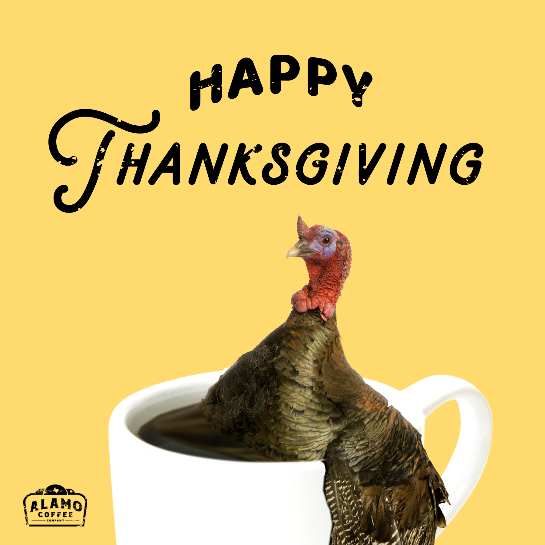 Alamo Coffee-Thanksgiving.PNG