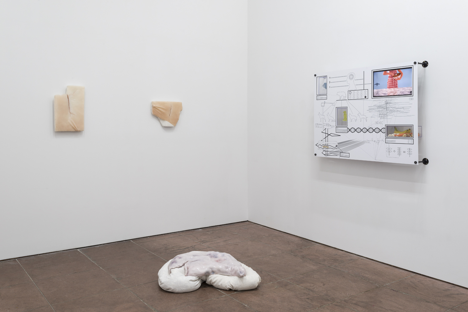 In the Flesh Part l: Subliminal Substances , installation view (Ivana Basic, Encyclopedia Inc.)
