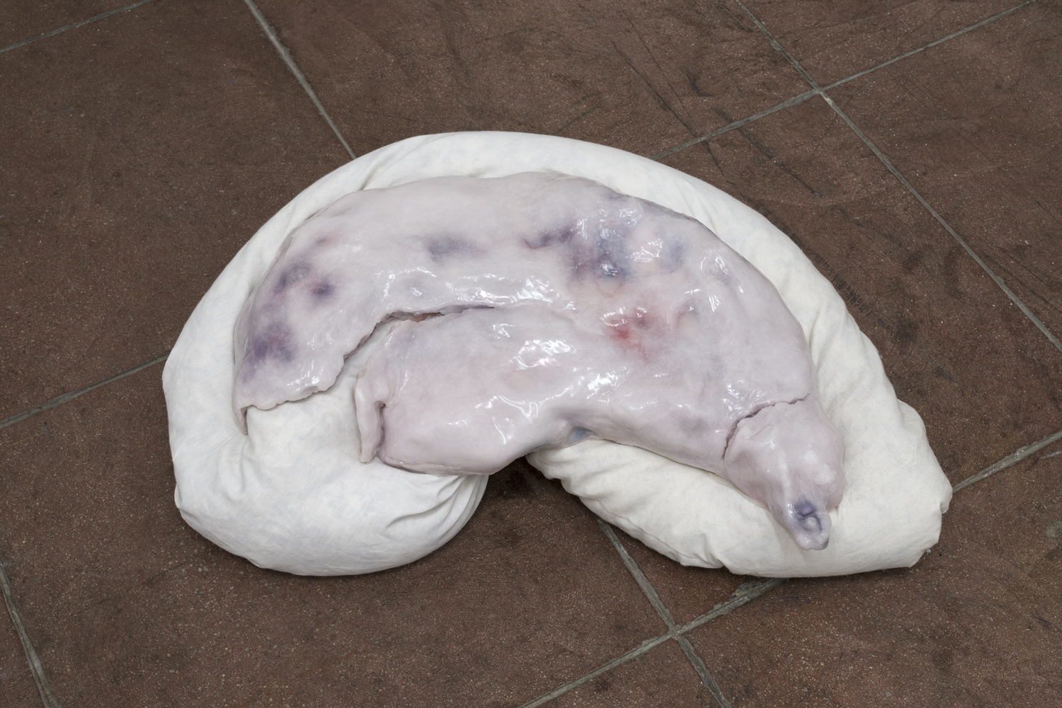 Ivana Basic, Asleep , 2015