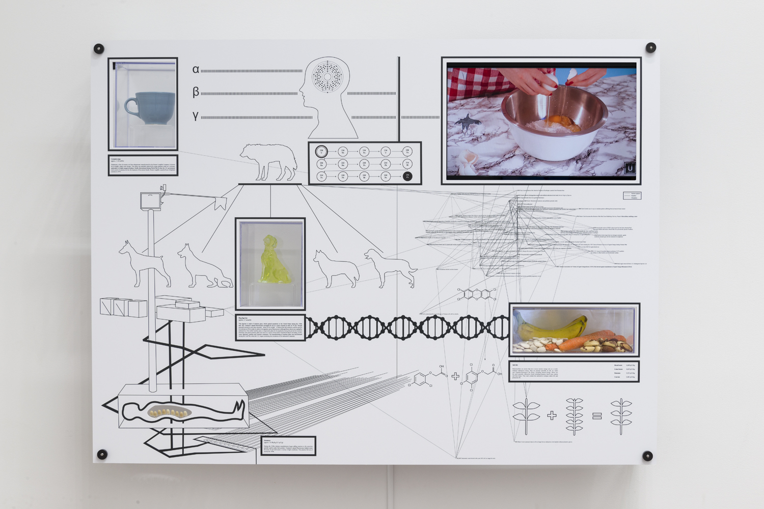 Encyclopedia Inc., Display Unit, U-238 , 2015