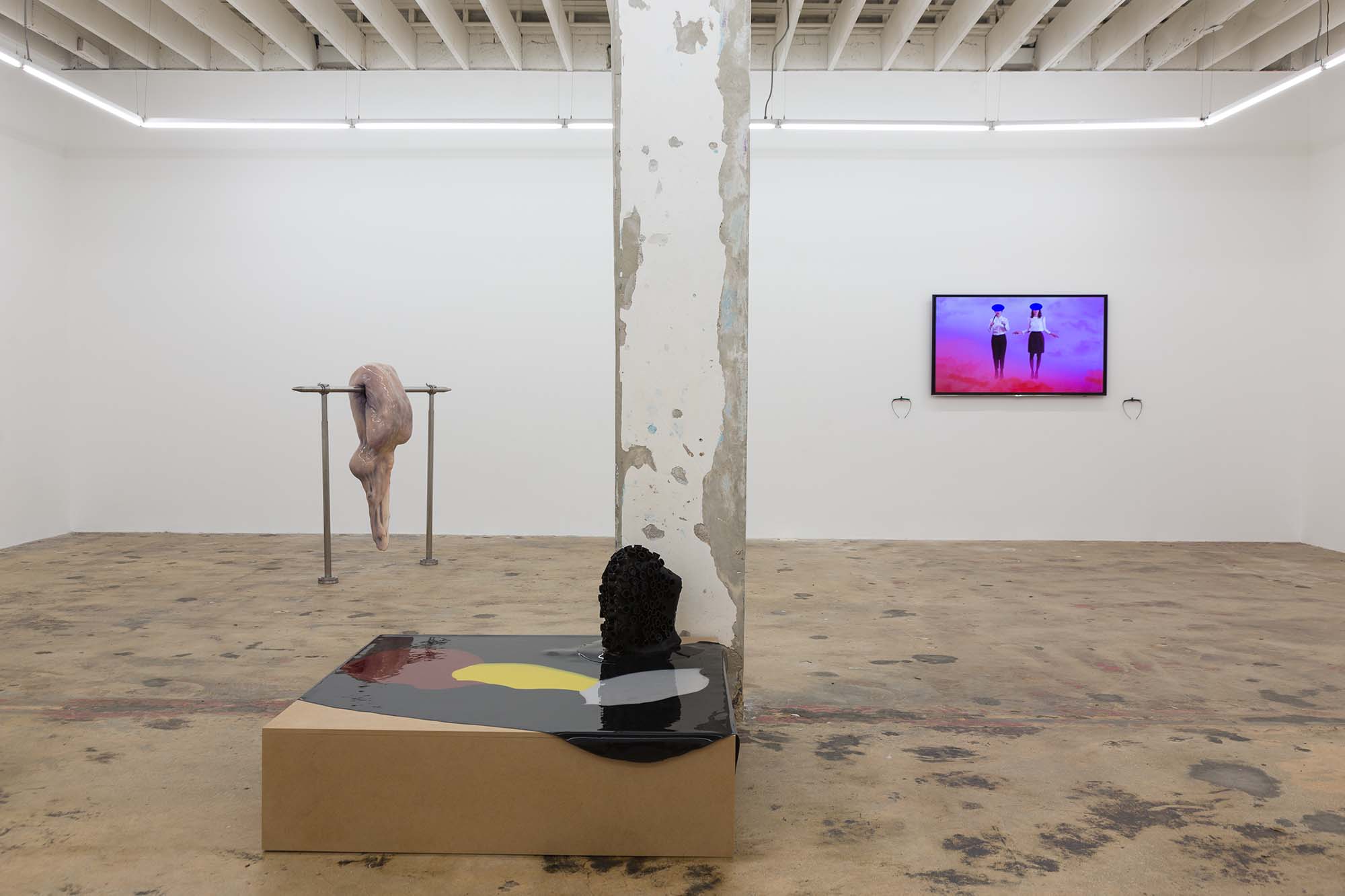 In the Flesh Part ll: Potential Adaptations , installation view Gallery Diet, Miami, 2016 (Ivana Basic, Martha Friedman, Cecile. B. Evans)