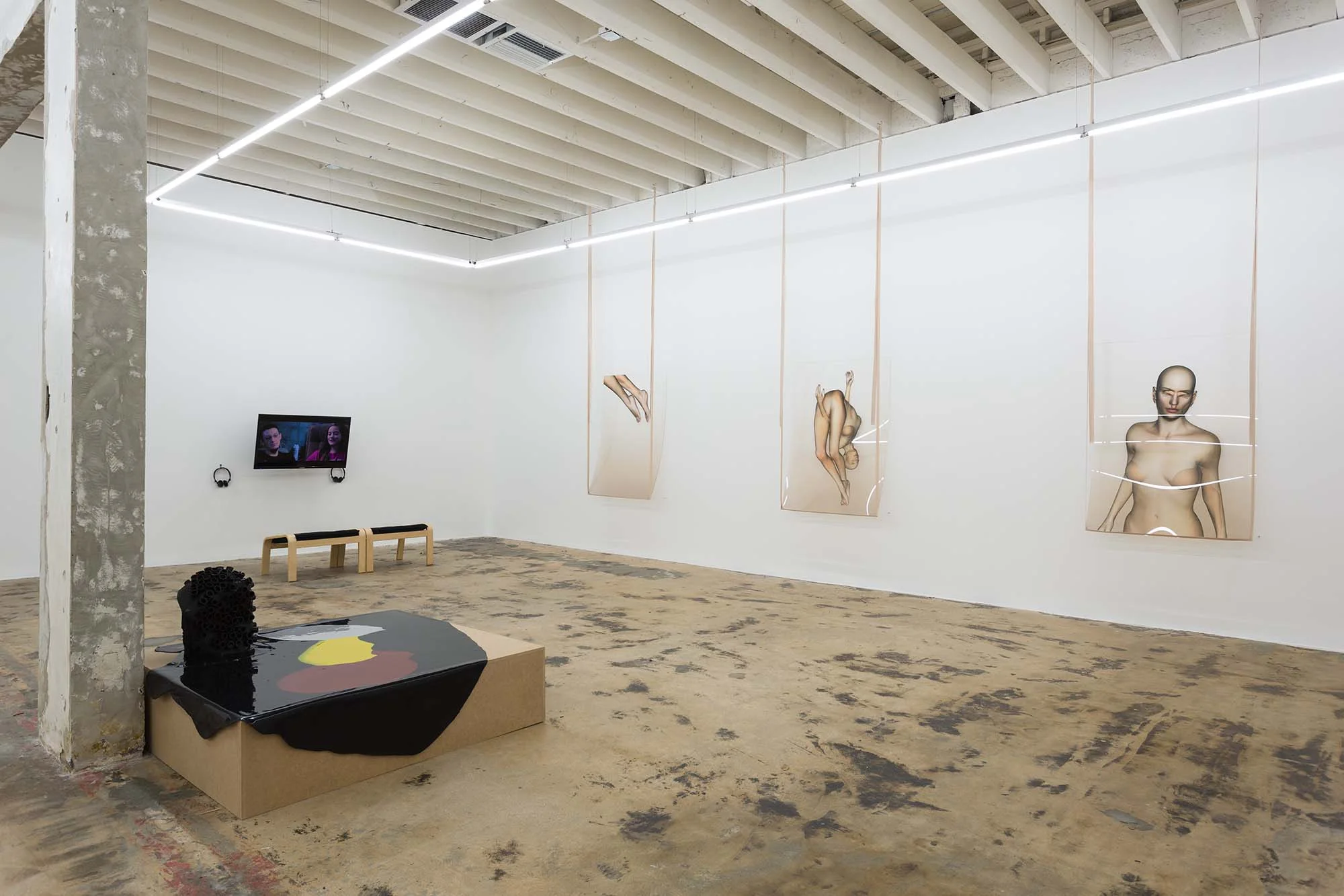 In the Flesh Part ll: Potential Adaptations , installation view (Martha Friedman, Megan Daalder, Ivana Basic)