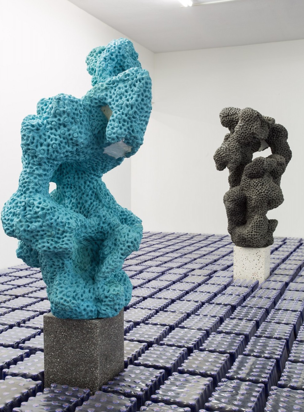 Nicolas Lobo, Bad soda/Soft drunk , installation view Gallery Diet, Miami, 2014