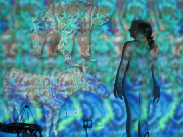 Shana Moulton, I Lost Something in the HIlls, 2011, performance documentation