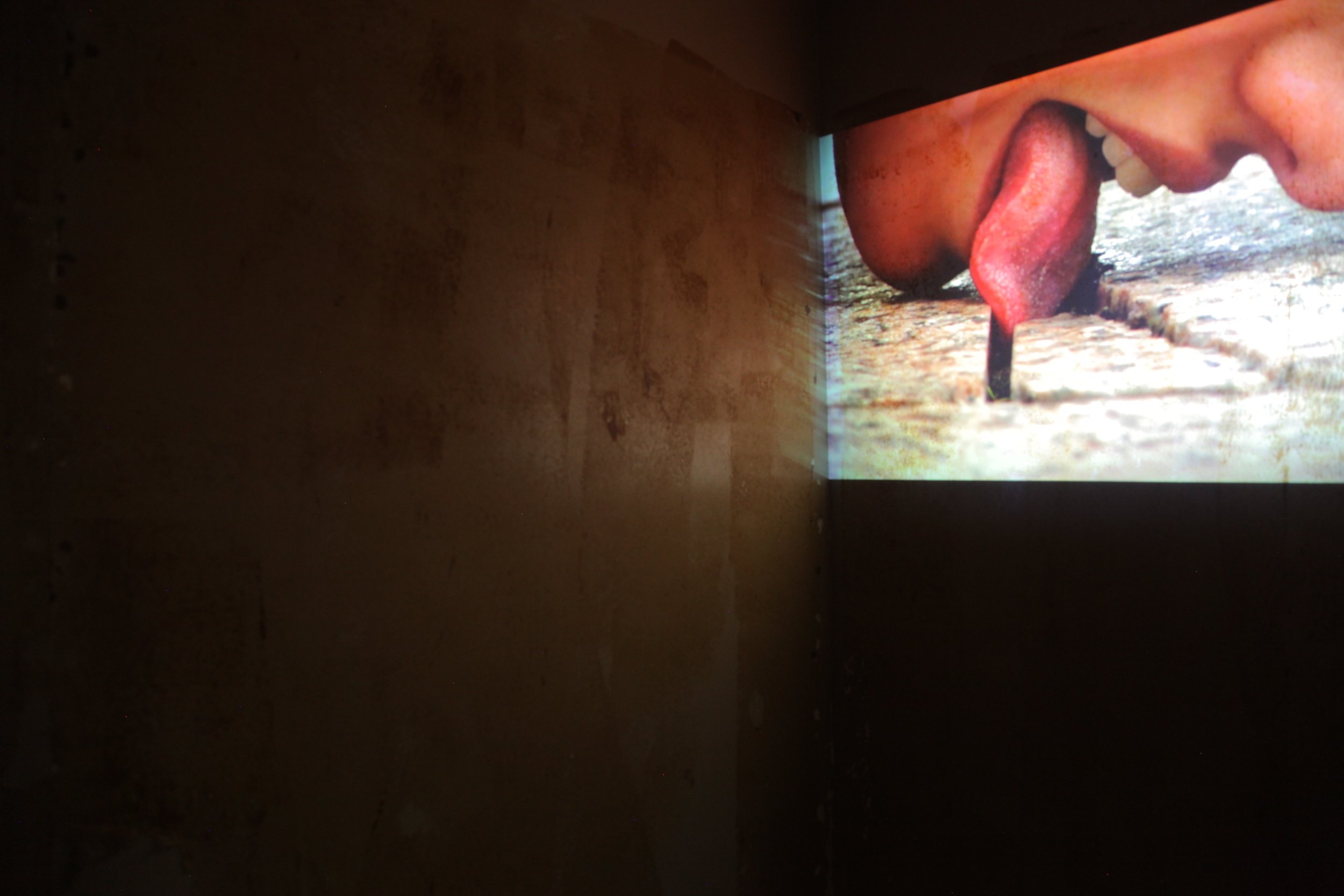 Mitra Saboury, video projection, installation view, 2015