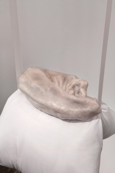 Ivana Basic, Disintegration in the direction of something other than death #2 , 2014 Hollow body, weight, feathers, pillow, sweat, elastic band, hooks