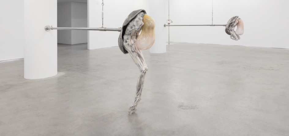 Ivana Basic, Through the hum of black velvet sleep , 2017, installation view