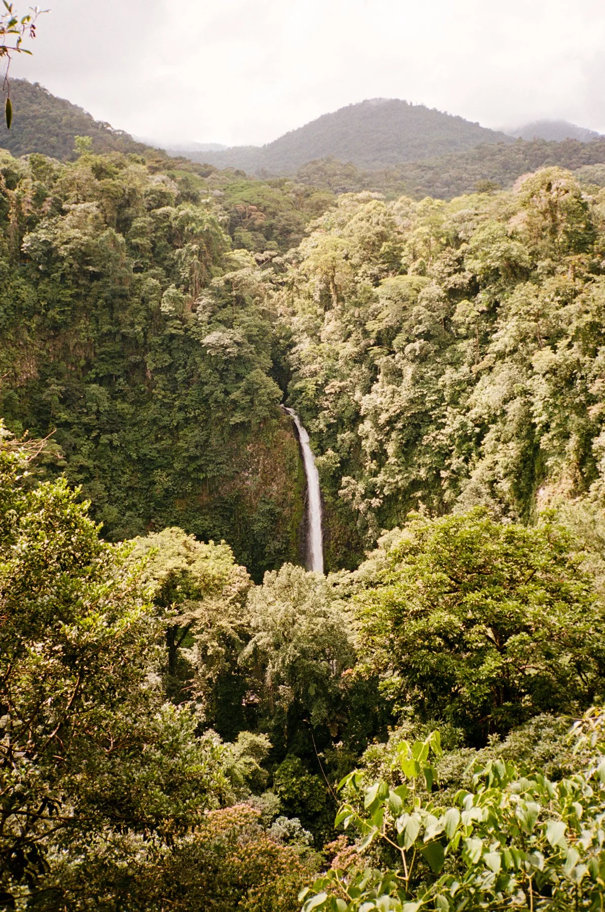 000106.jpg